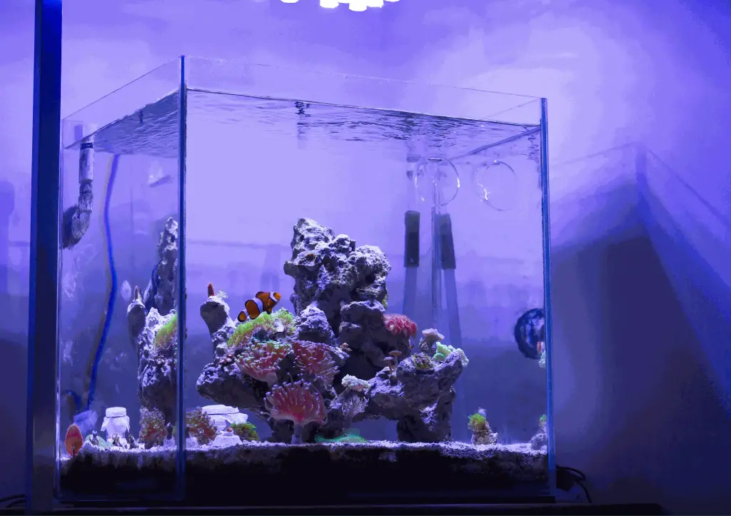 Nano Glass Tank 15L