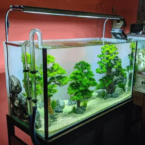標準玻璃水族箱 60 公升