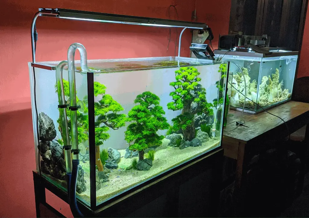 Standard Glass Aquarium 60L
