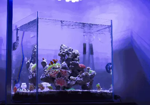 Nano Glass Tank 15L