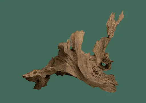 Natural Driftwood (Medium)