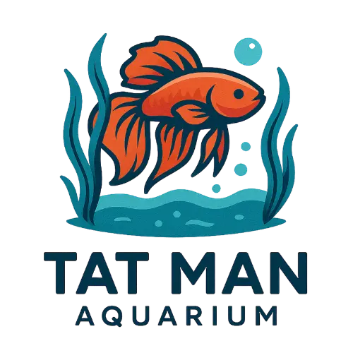 TAT MAN AQUARIUM 