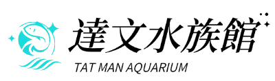 TAT MAN AQUARIUM 